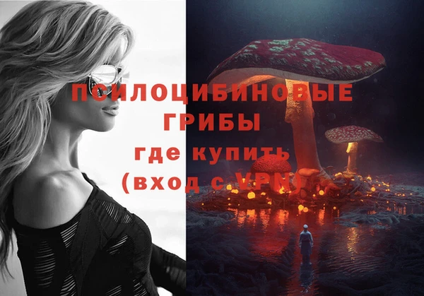 apvp Беломорск