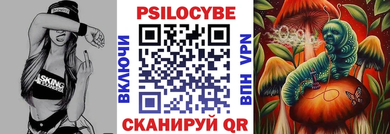 Галлюциногенные грибы Psilocybine cubensis  kraken маркетплейс  Дигора  купить наркотик 